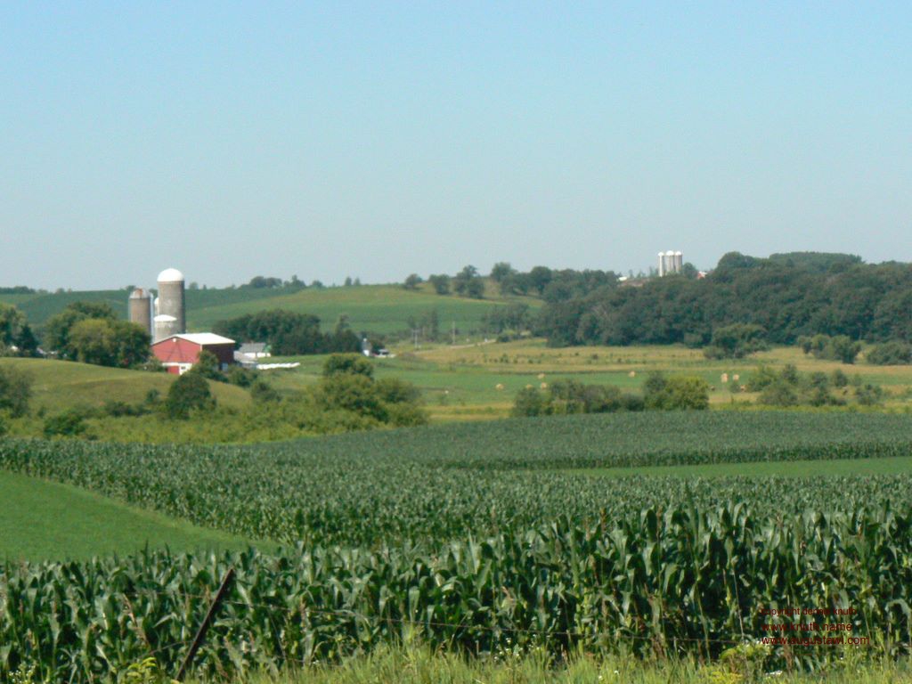 Dairy Farm scenic view in Eau Claire county